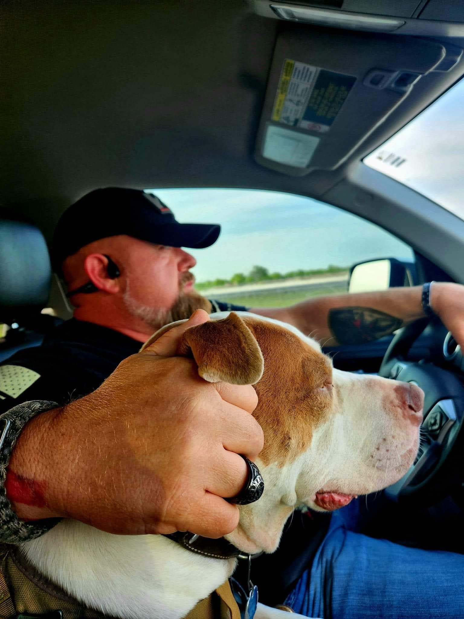 James Dickerson and his service dogs